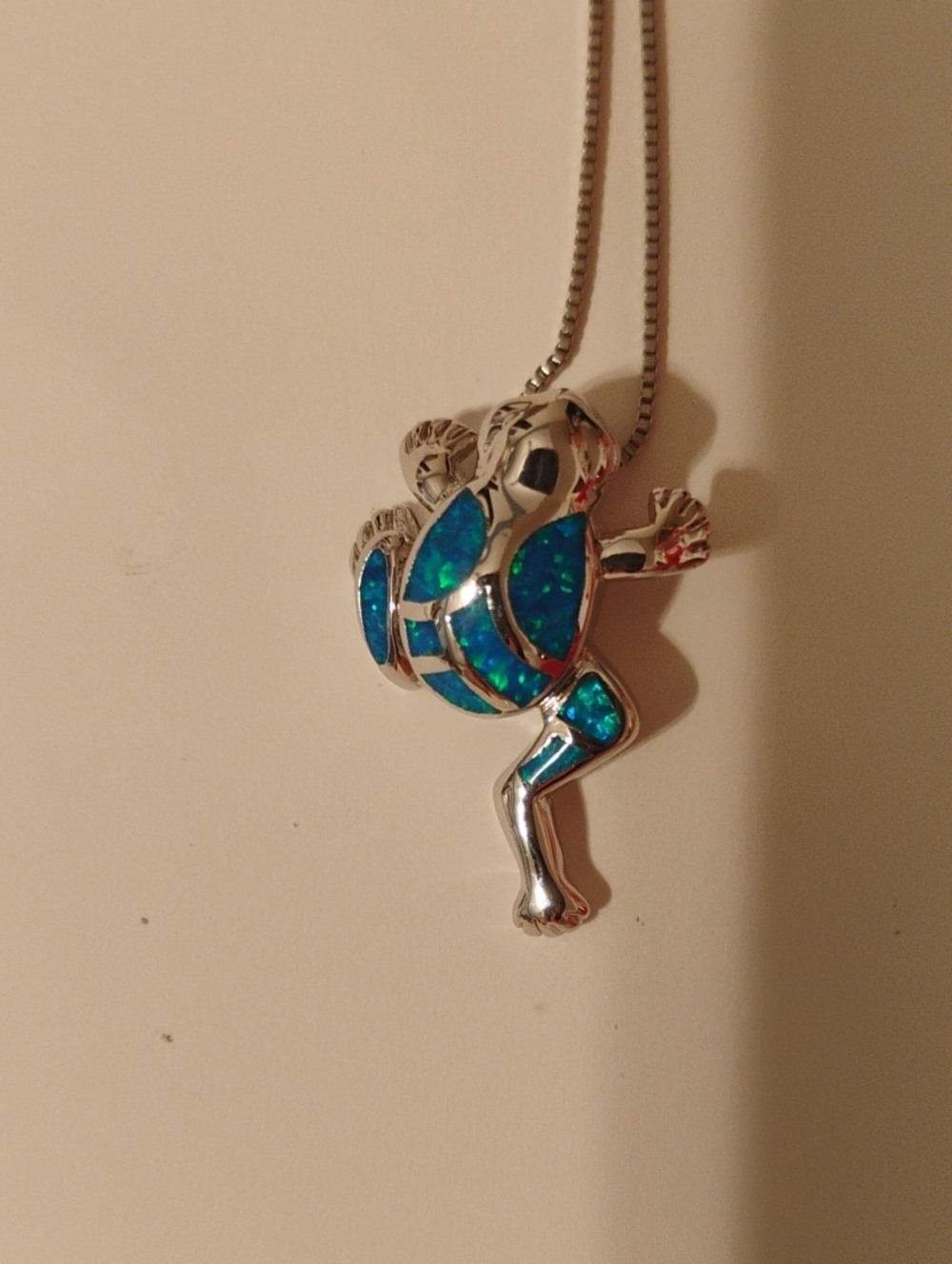 Silver Necklace with Turquoise Frog Pendant